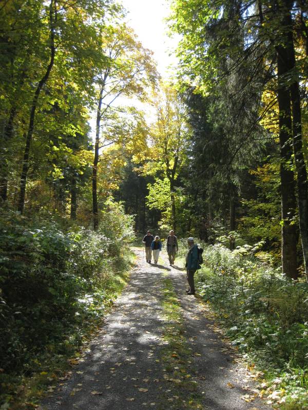 active-power-2015-187