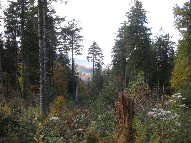 active-power-2015-188