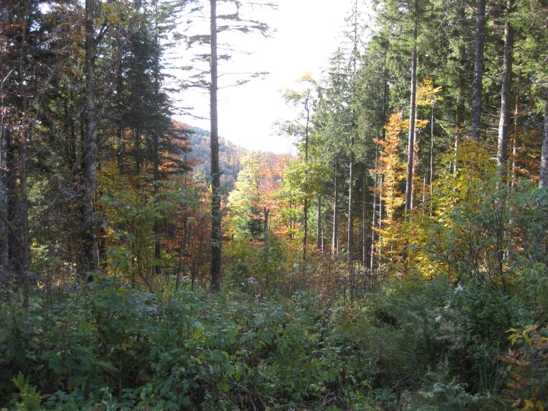 active-power-2015-189