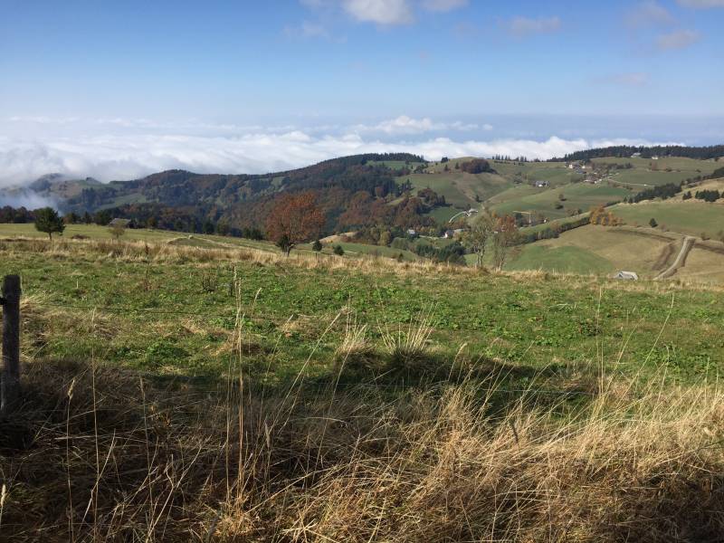 active-power-2015-190