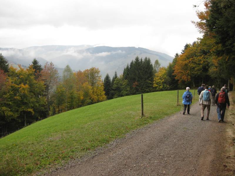 active-power-2015-194