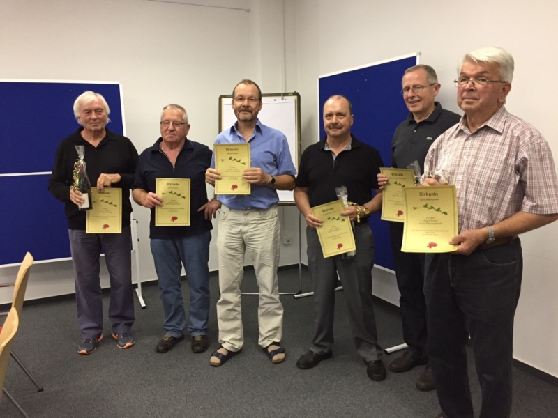 active-power-2016-006