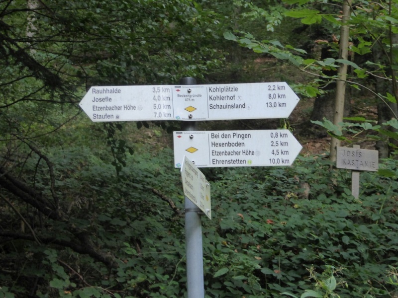 active-power-2016-017