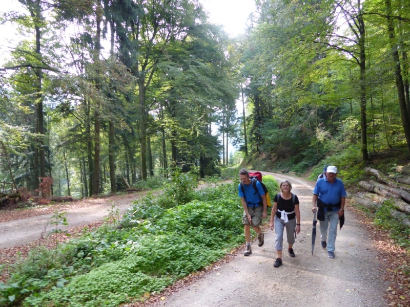 active-power-2016-019