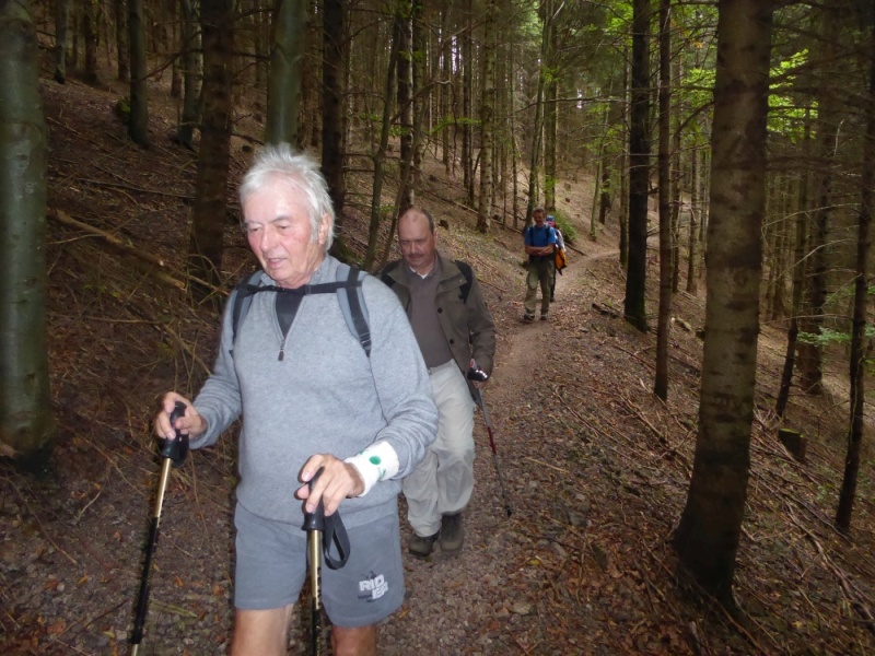 active-power-2016-020