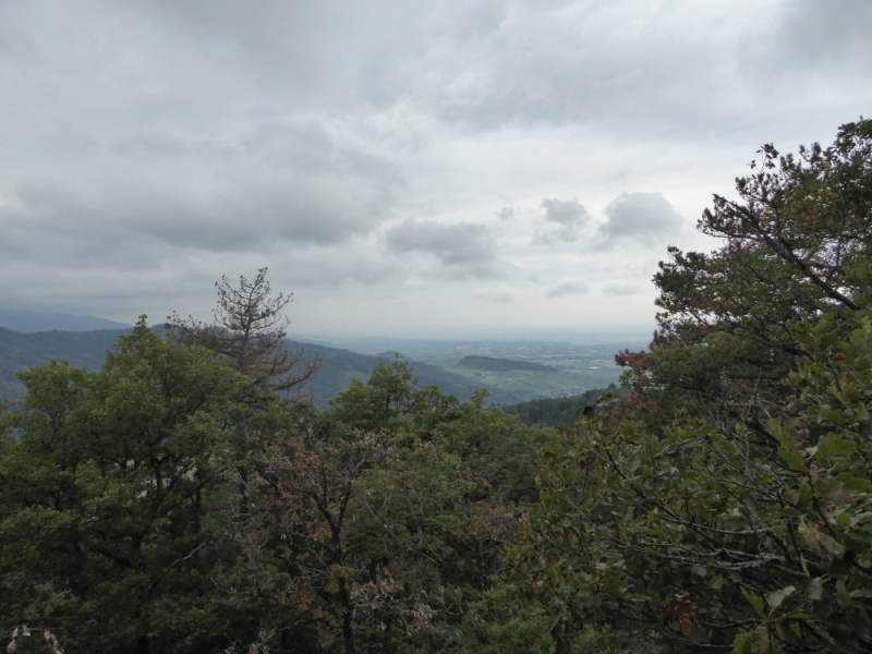 active-power-2016-024