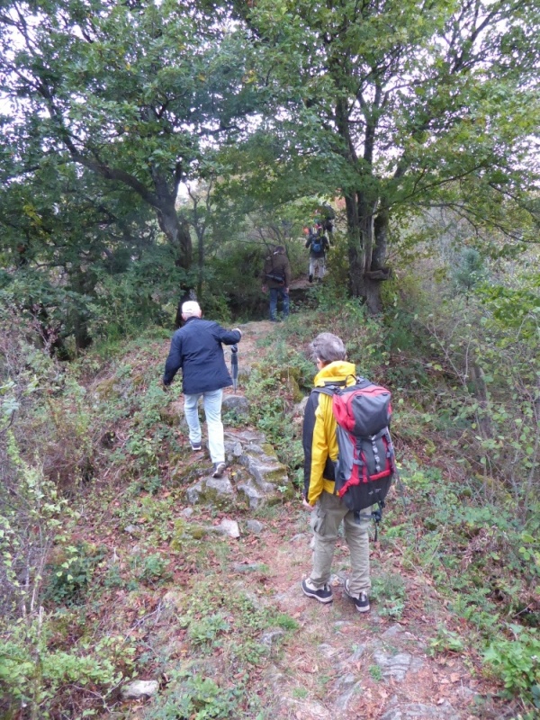 active-power-2016-025