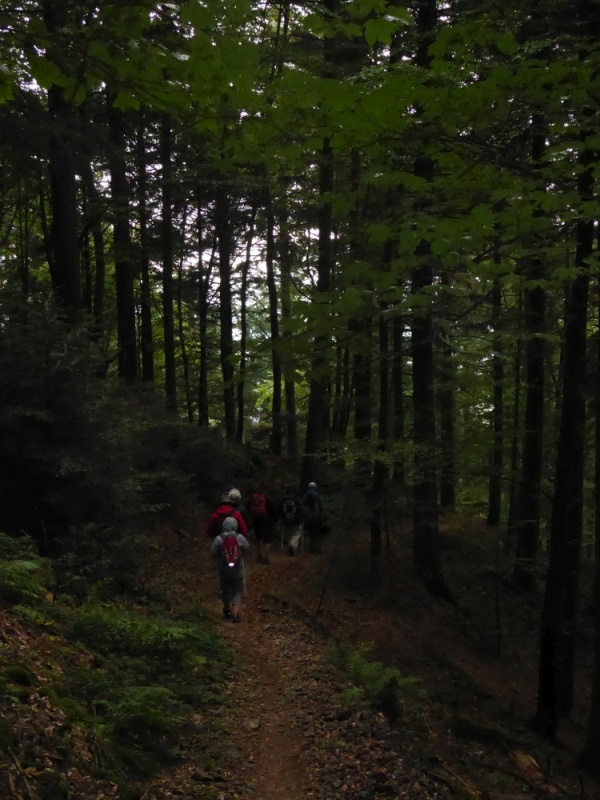 active-power-2016-030