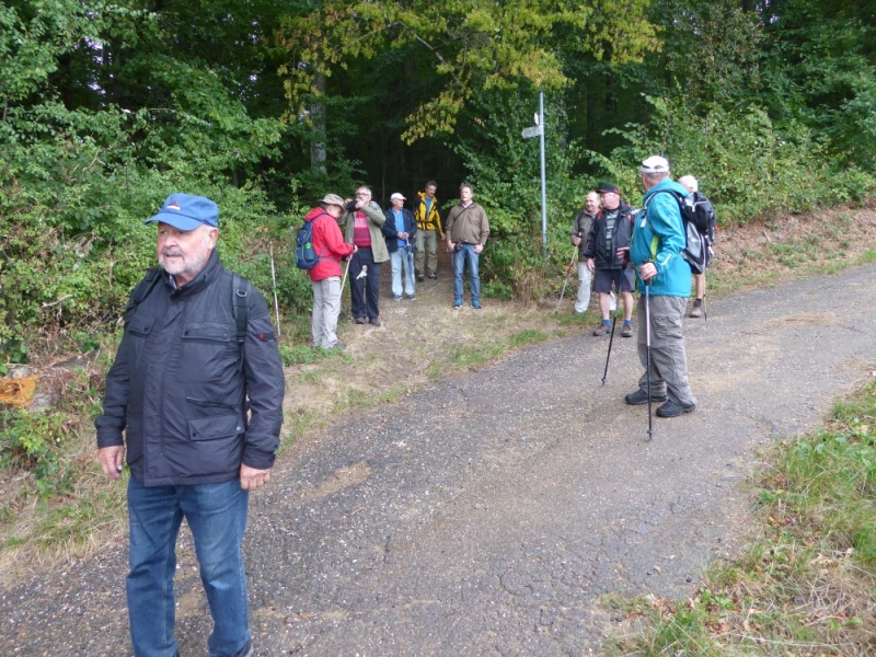 active-power-2016-031