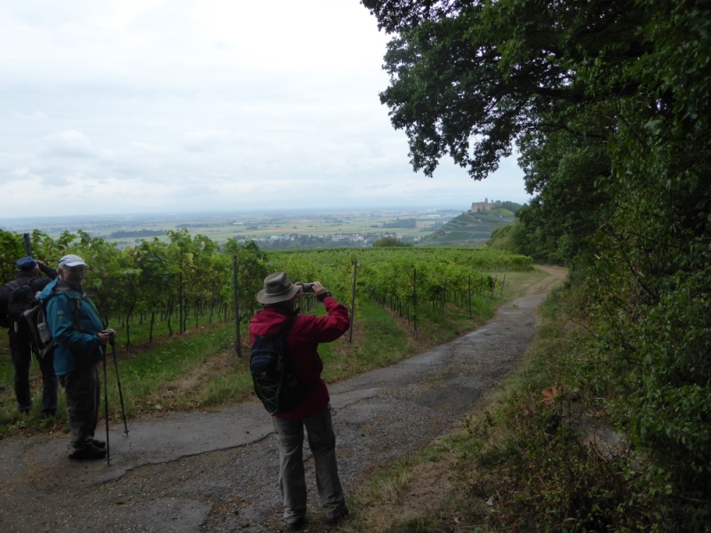 active-power-2016-032