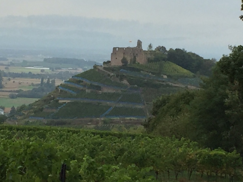 active-power-2016-033