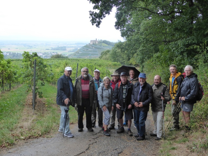 active-power-2016-034