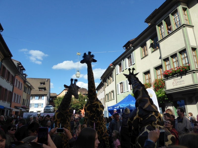 active-power-2016-052