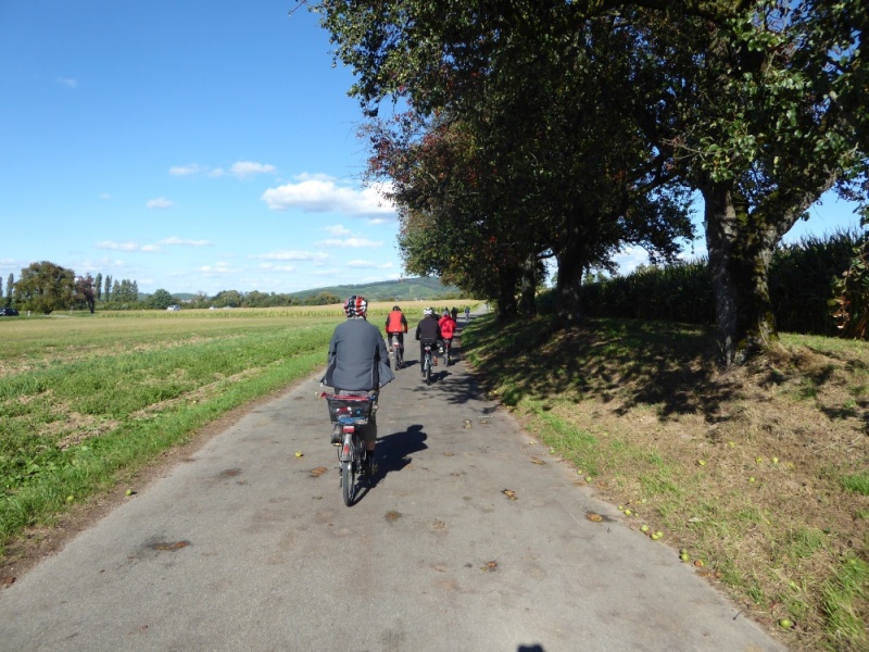 active-power-2016-068