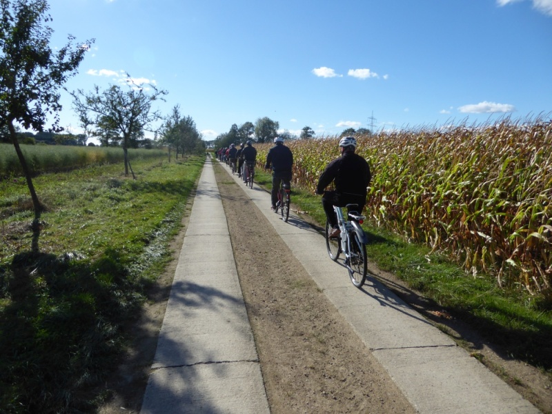 active-power-2016-069