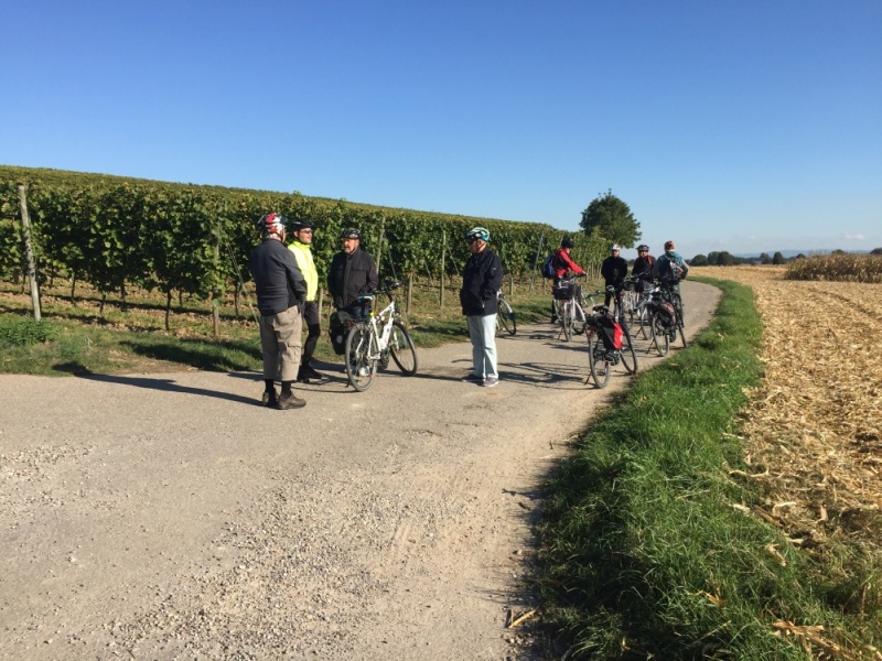 active-power-2016-117