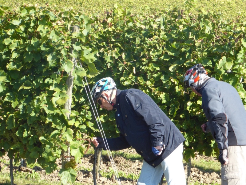 active-power-2016-118