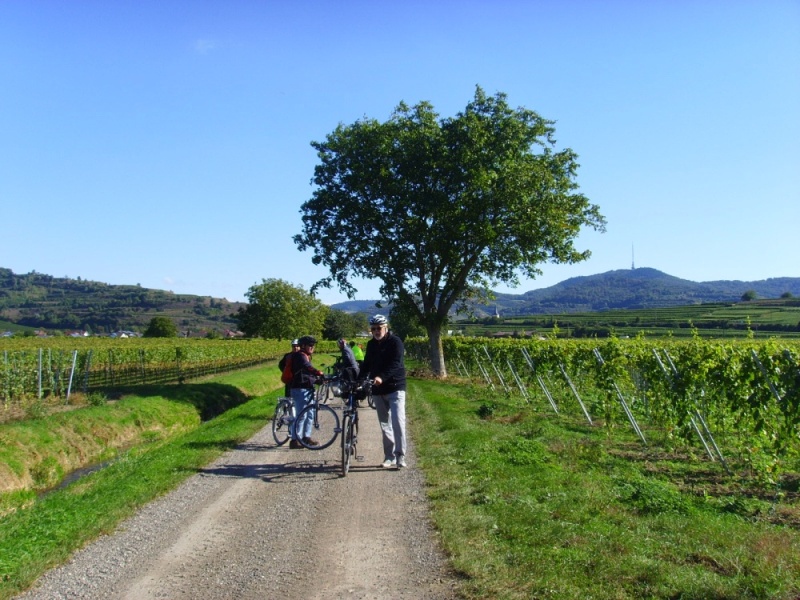 active-power-2016-123