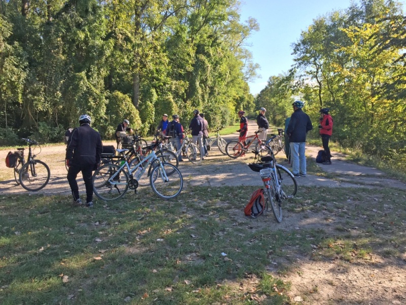 active-power-2016-135