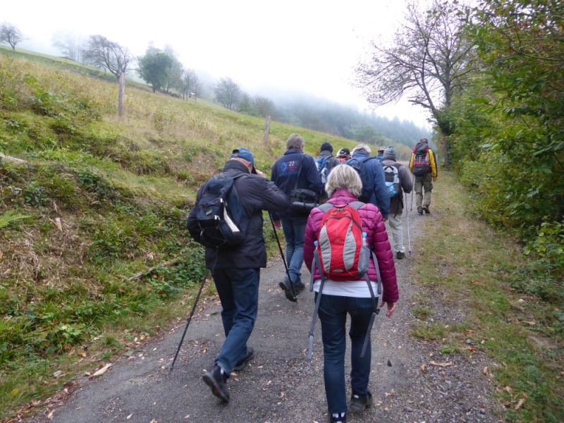 active-power-2016-217