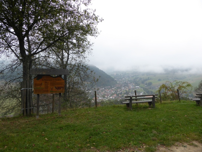 active-power-2016-219