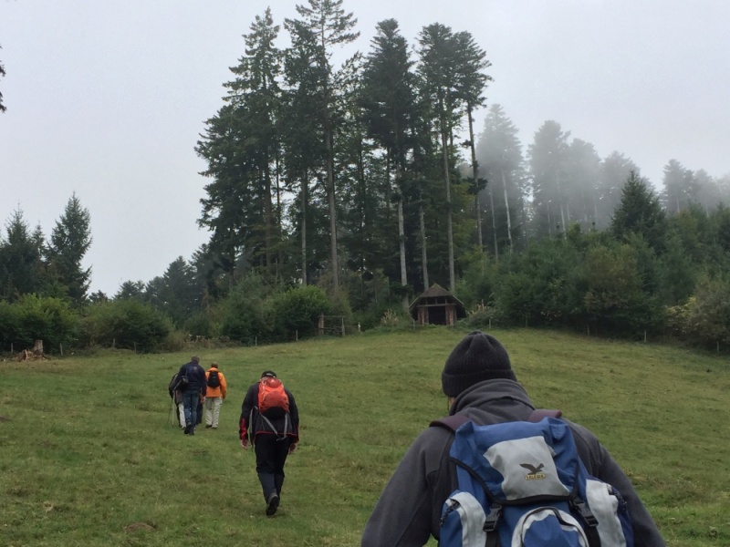 active-power-2016-227