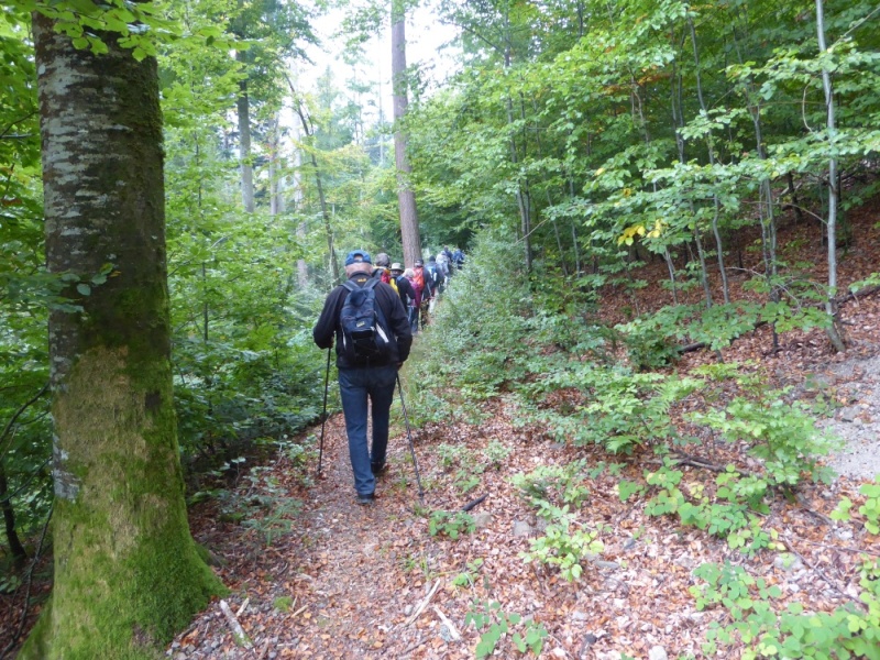 active-power-2016-228