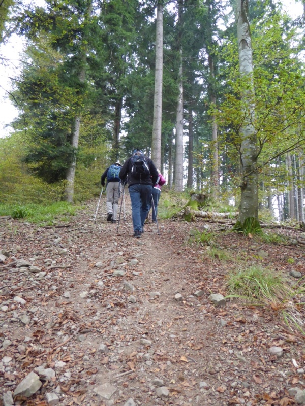 active-power-2016-229