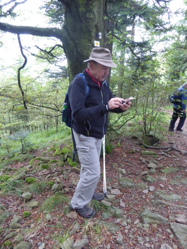 active-power-2016-230