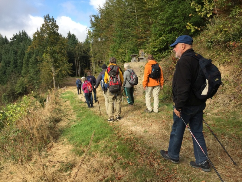 active-power-2016-233