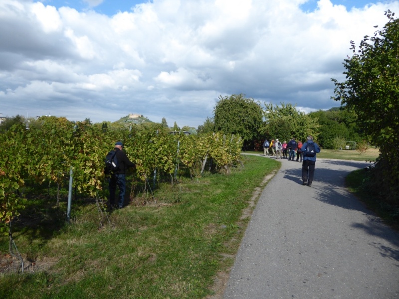 active-power-2016-235